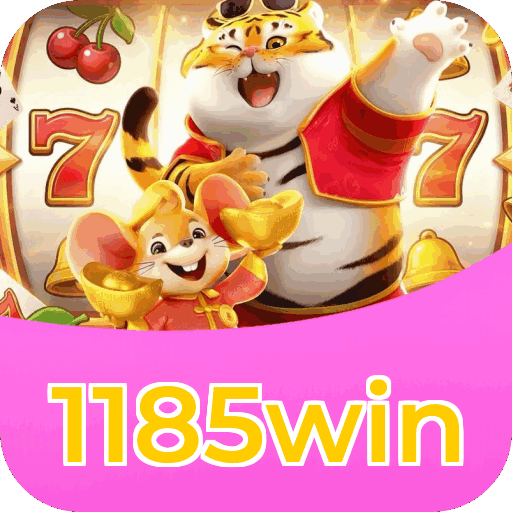 Métodos de pagamento aceitos na 1185win